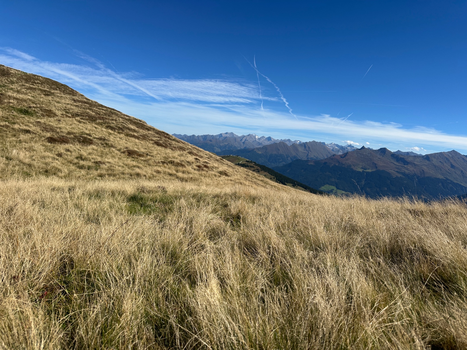 Alpine & Subalpine Terrain