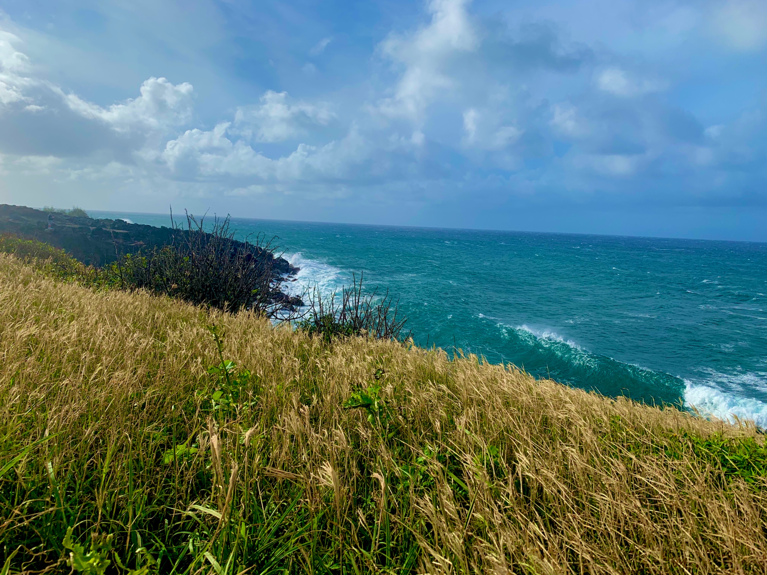 Coastal & Wetland Systems